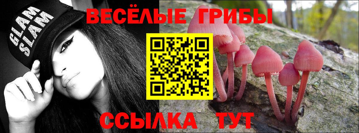 Галлюциногенные грибы Cubensis  Вход с VPN  Ишимбай 